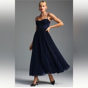 Hutch Amara Bustier Pleated Tule Fit n Flare Midi Dress